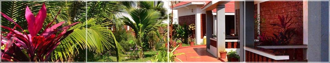 100-hours-yoga-teacher-training