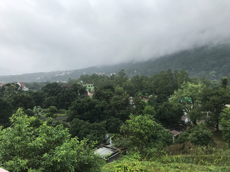 dense-forest-in-rishikesh